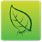 Viridis Viridis